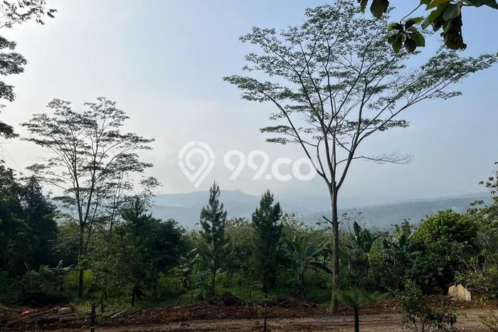 Lahan Kosong Dijual di Bogor Timur, Bogor, Luas 900m2 Area Strategis Lahan Kosong Dijual di Bogor Timur, Bogor, Luas 900m2 Area Strategis