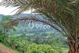 Jarang Ada! Tanah di Cileungsi Punya Luas 500m2 SHM Jarang Ada! Tanah di Cileungsi Punya Luas 500m2 SHM