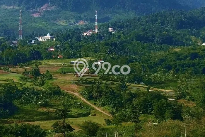 Untuk Dijual Tanah 400m2 di Sentul City, Bogor Untuk Dijual Tanah 400m2 di Sentul City, Bogor