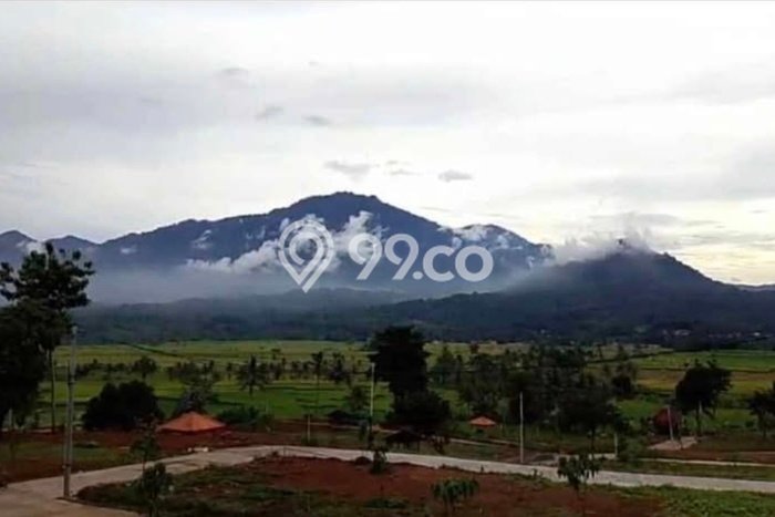 Lahan Investasi Lokasi Sawangan Depok - Lahan Investasi Lokasi Sawangan Depok -