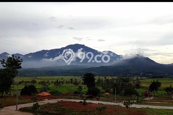 Tanah Dijual Lokasi Cinere Depok SHM Tanah Dijual Lokasi Cinere Depok SHM