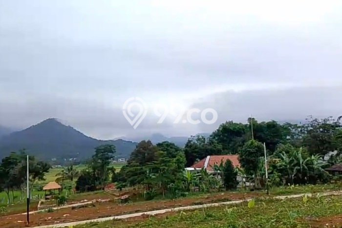 Tanah Dijual Lokasi Cinere Depok SHM Tanah Dijual Lokasi Cinere Depok SHM