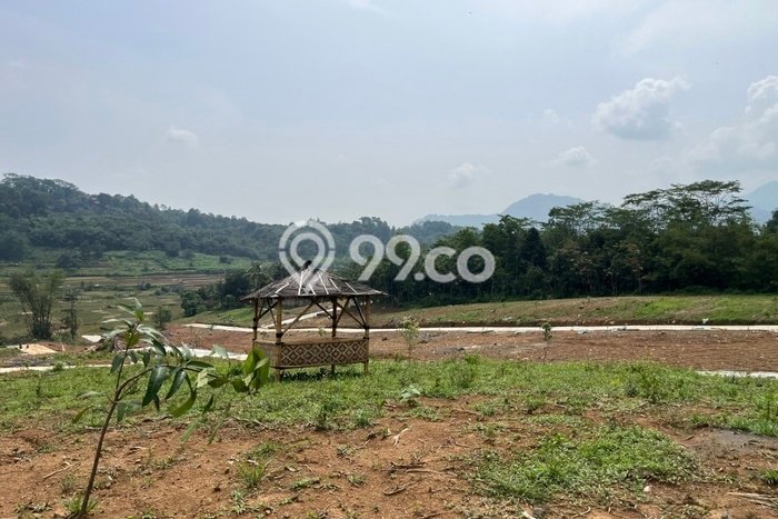 Tanah Dijual Lokasi Cinere Depok SHM Tanah Dijual Lokasi Cinere Depok SHM