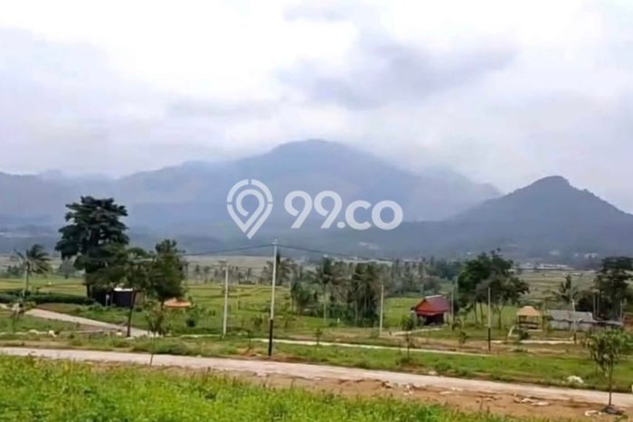 Lahan Investasi Lokasi Sawangan Depok - Lahan Investasi Lokasi Sawangan Depok -