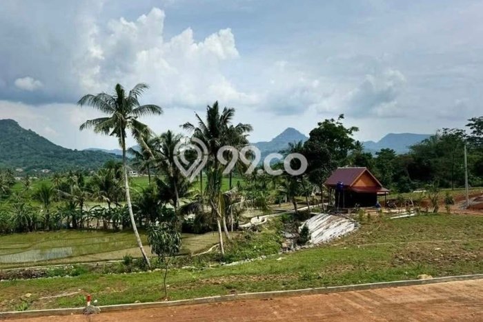 Lahan Investasi Lokasi Sawangan Depok - Lahan Investasi Lokasi Sawangan Depok -
