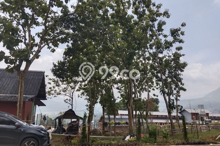 Lahan Dijual Lokasi Strategis di Bogor dengan Luas 1000m2 Lahan Dijual Lokasi Strategis di Bogor dengan Luas 1000m2