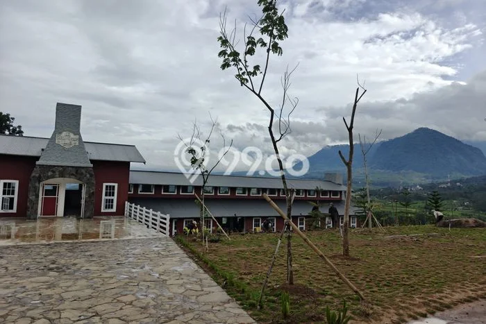 Untuk Dijual Tanah di Bogor, Luas 500m2 SHM Untuk Dijual Tanah di Bogor, Luas 500m2 SHM