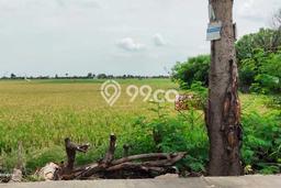Jarang Ada! Tanah di Tarumajaya Punya Luas 750m2 SHM Jarang Ada! Tanah di Tarumajaya Punya Luas 750m2 SHM