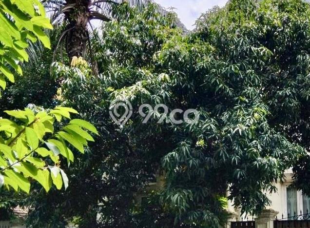 Dijual Rumah Luas Megah Dengan View Cantik di Tanjung Barat, Jakarta Selatan Dijual Rumah Luas Megah Dengan View Cantik di Tanjung Barat, Jakarta Selatan