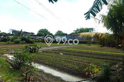 Lahan Dijual Lokasi Strategis di Jakarta Timur dengan Luas 2950m2 Lahan Dijual Lokasi Strategis di Jakarta Timur dengan Luas 2950m2