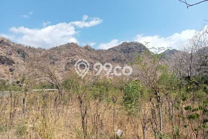 Tanah Kavling untuk Dijual di Buleleng Buleleng 264m2 Tanah Kavling untuk Dijual di Buleleng Buleleng 264m2