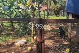 Tanah Kavling Dijual di Bandung dengan Spesifikasi 764m2 Tanah Kavling Dijual di Bandung dengan Spesifikasi 764m2
