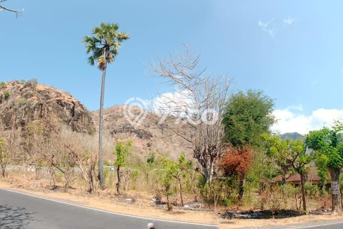 Tanah Kavling untuk Dijual di Buleleng Buleleng 264m2 Tanah Kavling untuk Dijual di Buleleng Buleleng 264m2