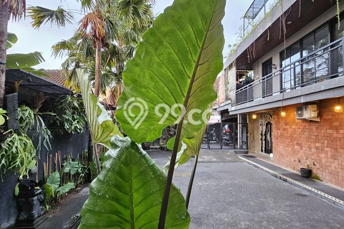 Jual Rumah Luas Elegan Dengan View Eksklusif di canggu, Badung Jual Rumah Luas Elegan Dengan View Eksklusif di canggu, Badung