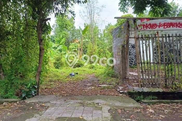 Tanah Dijual Lokasi Strategis di Denpasar dengan Luas 1000m2 Tanah Dijual Lokasi Strategis di Denpasar dengan Luas 1000m2