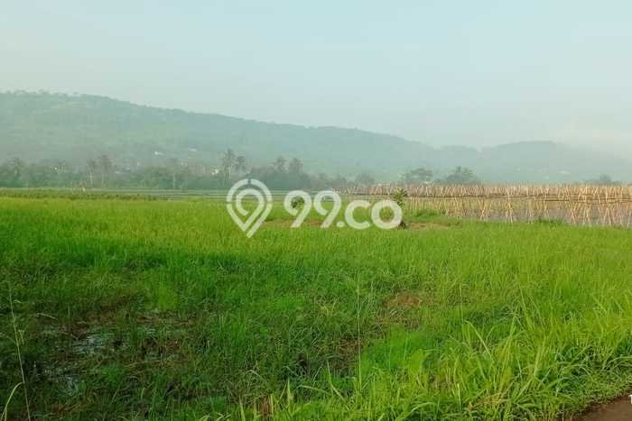 Tanah Kavling di Cibadak Dijual dengan Luas 100m2 Tanah Kavling di Cibadak Dijual dengan Luas 100m2