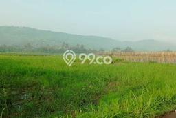 Tanah Dijual di Sukabumi Seluas 100m2 Strategis Tanah Dijual di Sukabumi Seluas 100m2 Strategis