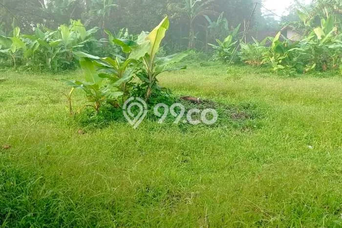 Tanah Kavling di Cibadak Dijual dengan Luas 100m2 Tanah Kavling di Cibadak Dijual dengan Luas 100m2