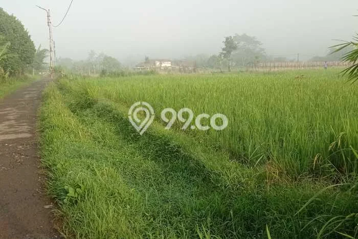 Tanah Kavling di Cibadak Dijual dengan Luas 100m2 Tanah Kavling di Cibadak Dijual dengan Luas 100m2