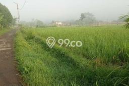 Untuk Dijual Tanah di Cibadak Sukabumi Luas 100m2 AJB Untuk Dijual Tanah di Cibadak Sukabumi Luas 100m2 AJB