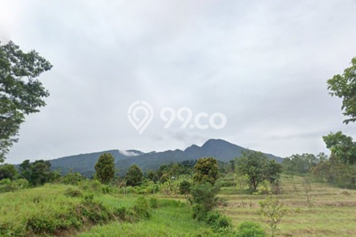 Tanah Dijual Lokasi Bogor Selatan, Bogor Luas 75057m2 Legalitas Aman Tanah Dijual Lokasi Bogor Selatan, Bogor Luas 75057m2 Legalitas Aman