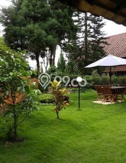HARGA TERBAIK! Vila di Trawas, Luas 425m2m², Area Strategis HARGA TERBAIK! Vila di Trawas, Luas 425m2m², Area Strategis