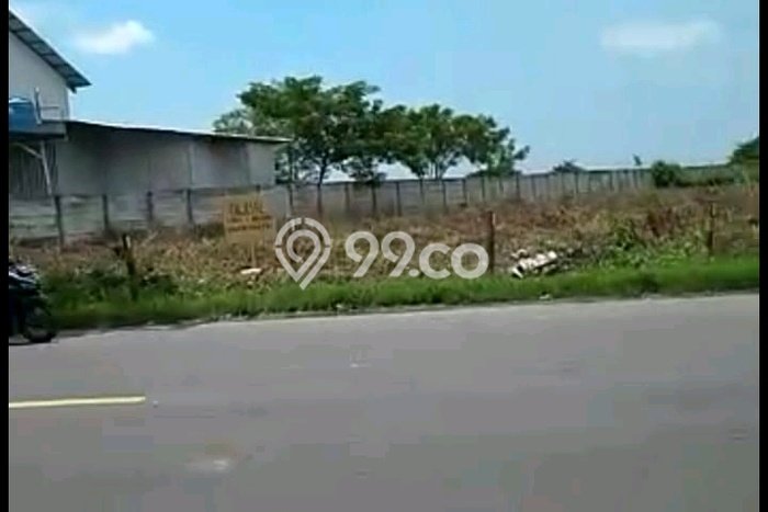 Lahan Kosong Dijual di Widang, Tuban, Luas 40000m2 Area Strategis Lahan Kosong Dijual di Widang, Tuban, Luas 40000m2 Area Strategis