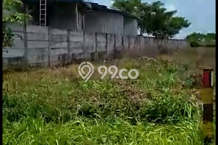 Lahan Kosong Dijual di Widang, Tuban, Luas 40000m2 Area Strategis Lahan Kosong Dijual di Widang, Tuban, Luas 40000m2 Area Strategis