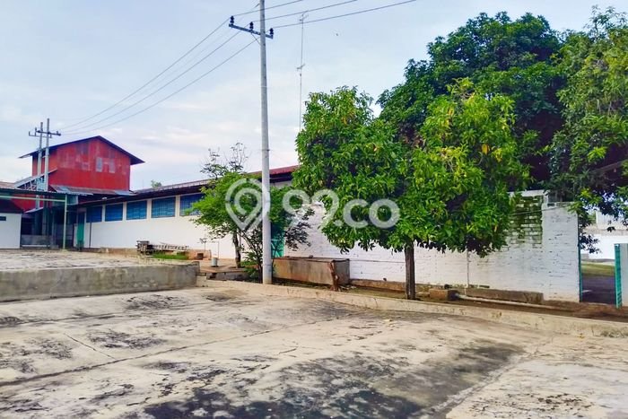 Unit Pabrik Strategis di Tuban, Tuban Potensi Cuan Besar Unit Pabrik Strategis di Tuban, Tuban Potensi Cuan Besar