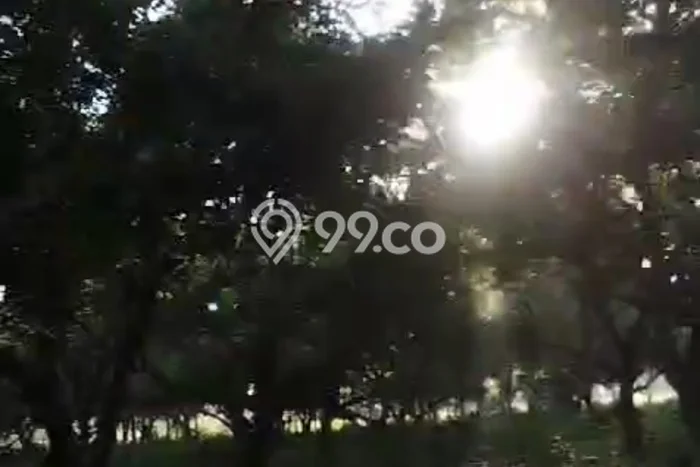 Tanah Dijual di Gresik Seluas 8000m2 Strategis Tanah Dijual di Gresik Seluas 8000m2 Strategis