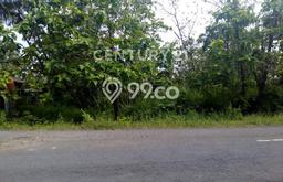 Kavling Tanah di Karangmojo Dijual Luas 3285m2 Legalitas SHM Kavling Tanah di Karangmojo Dijual Luas 3285m2 Legalitas SHM