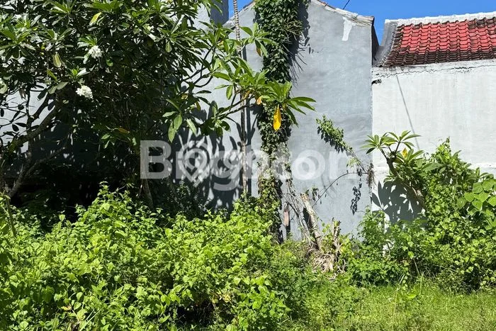 Rumah Minimalis 1 KT di Balangan Badung Rumah Minimalis 1 KT di Balangan Badung