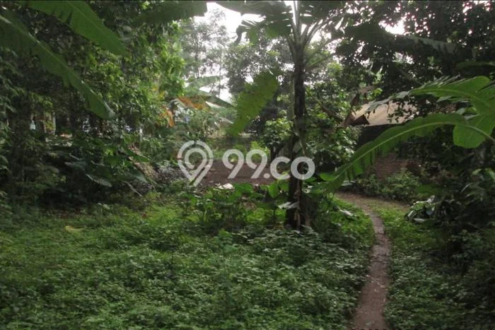 Tanah Kavling untuk Dijual di Prigen Pasuruan 4011m2 Tanah Kavling untuk Dijual di Prigen Pasuruan 4011m2