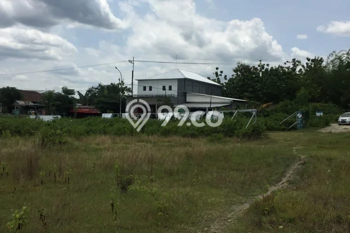 Lahan untuk Dijual di Bojonegoro Bojonegoro Luas 10000m2 Lahan untuk Dijual di Bojonegoro Bojonegoro Luas 10000m2