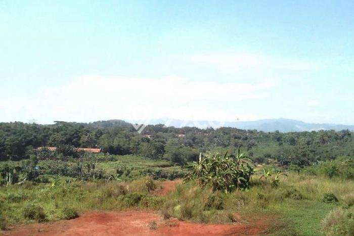 Tanah Kavling untuk Dijual di Gunung Sindur Bogor 75000m2 Tanah Kavling untuk Dijual di Gunung Sindur Bogor 75000m2