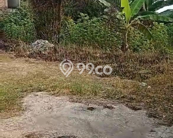Lahan Kosong Dijual di Gunung Sindur, Bogor, Luas 1709m2 Area Strategis Lahan Kosong Dijual di Gunung Sindur, Bogor, Luas 1709m2 Area Strategis