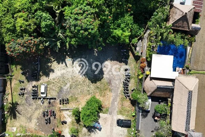 Tanah Kavling untuk Disewa di Ubud Gianyar 6500m2 Tanah Kavling untuk Disewa di Ubud Gianyar 6500m2