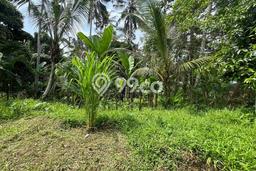 Kavling Tanah Dijual di Payangan, Gianyar, Luas 3257m2 Area Strategis Kavling Tanah Dijual di Payangan, Gianyar, Luas 3257m2 Area Strategis