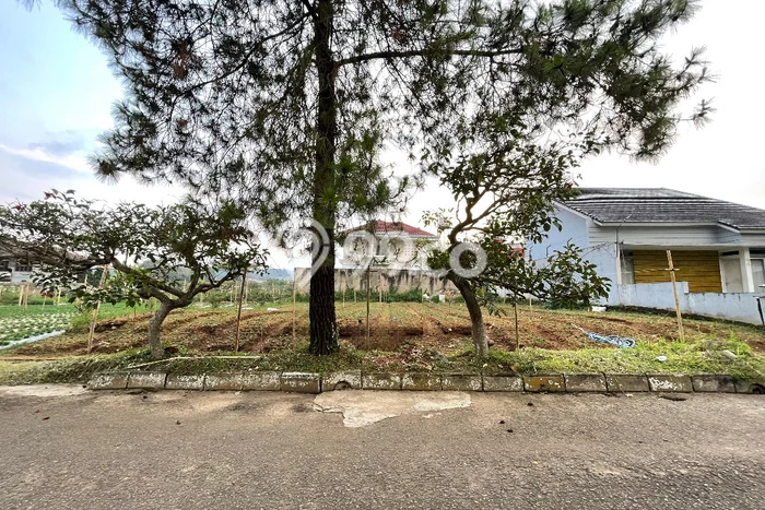 Tanah untuk Dijual Lokasi Parongpong, Bandung Barat Luas 500m2 SHM Tanah untuk Dijual Lokasi Parongpong, Bandung Barat Luas 500m2 SHM