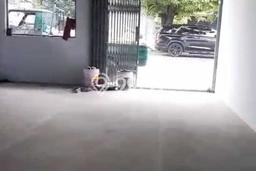 Gudang disewakan di Cakung Jakarta Timur dengan luas bangunan 180m2 Gudang disewakan di Cakung Jakarta Timur dengan luas bangunan 180m2