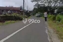 Dijual Tanah 15000m2 di Munduk, Buleleng Dijual Tanah 15000m2 di Munduk, Buleleng