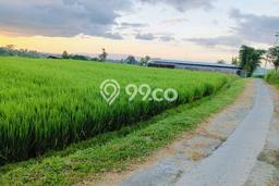 Lahan Kosong Dijual di Sidemen, Karangasem, Luas 4400m2 Area Strategis Lahan Kosong Dijual di Sidemen, Karangasem, Luas 4400m2 Area Strategis