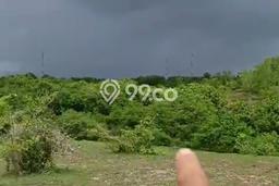 Tanah Kavling Dijual di Badung dengan Spesifikasi 3500m2 Tanah Kavling Dijual di Badung dengan Spesifikasi 3500m2