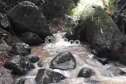 Tanah Kavling di Ubud Dijual dengan Luas 24300m2 Tanah Kavling di Ubud Dijual dengan Luas 24300m2