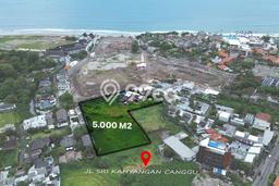 Untuk Disewa Tanah di canggu Badung Seluas 2000m2 Untuk Disewa Tanah di canggu Badung Seluas 2000m2