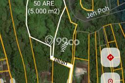 Lahan Dijual Lokasi Strategis di Tabanan dengan Luas 5000m2 Lahan Dijual Lokasi Strategis di Tabanan dengan Luas 5000m2