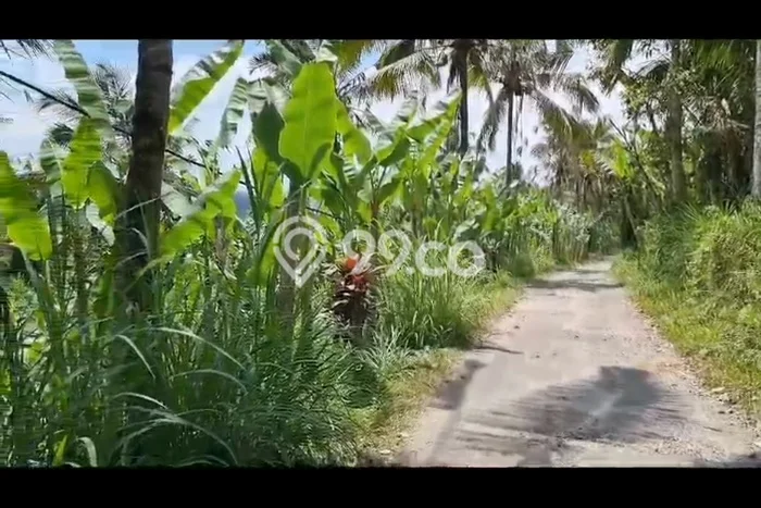 Kavling Tanah di Payangan Dijual Luas 18000m2 Legalitas SHM Kavling Tanah di Payangan Dijual Luas 18000m2 Legalitas SHM