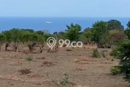 Kavling Tanah Dijual di Tulamben Karangasem Spesifikasi 15000m2 Kavling Tanah Dijual di Tulamben Karangasem Spesifikasi 15000m2