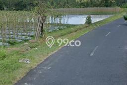 Jarang Ada! Tanah di Mengwi Punya Luas 8100m2 SHM Jarang Ada! Tanah di Mengwi Punya Luas 8100m2 SHM