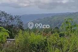 Tanah Dijual di Buleleng Seluas 1m2 Strategis Tanah Dijual di Buleleng Seluas 1m2 Strategis